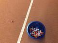 IMG-20220301-WA0034