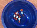 IMG-20220301-WA0051